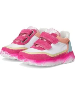 Naturino Falcotto Amantea 2 VL (Toddler/Litte Kid) | Sneakers & Athletic Shoes